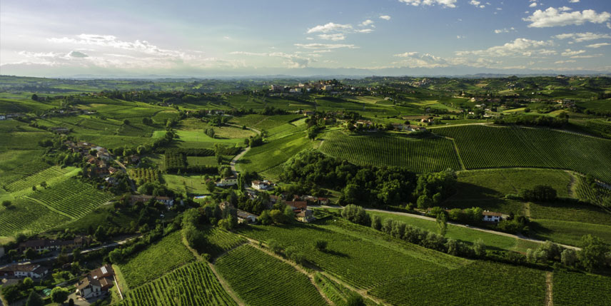 Il territorio di Agliano Terme